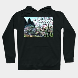 Mountain Spring Blossom Scenery Hoodie